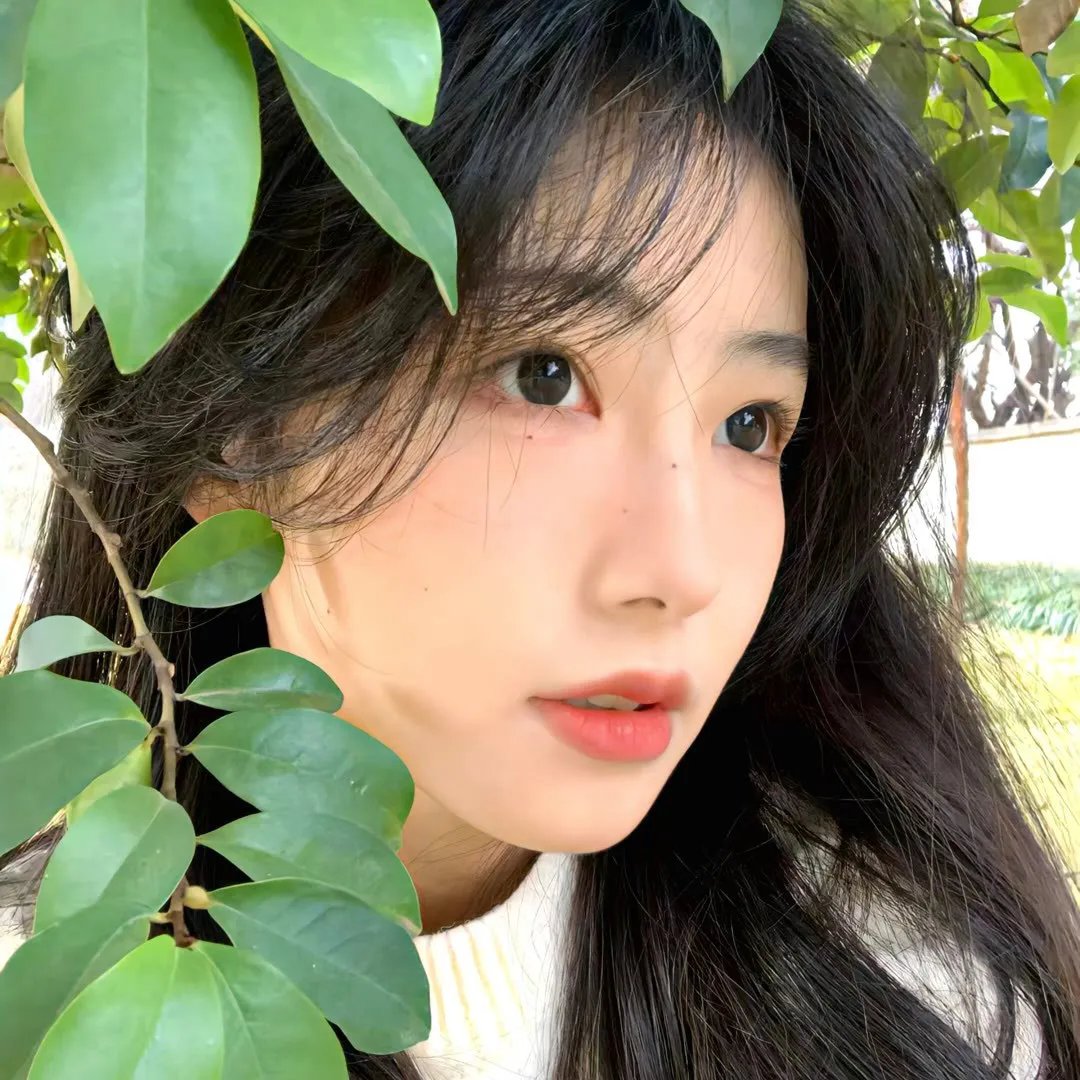 华丽的假期
